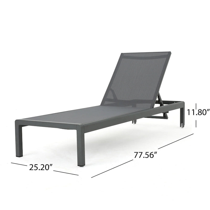 Chaises longues d'extérieur Cape Coral avec coussin (ensemble de 2) par Christopher Knight Home