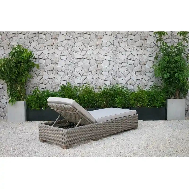 Renava Knox Chaise Longue d'extérieur en Osier